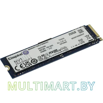 SSD диск Kingston NV1 250GB (SNVS/250G)